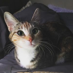 Meet your Posher, Megan